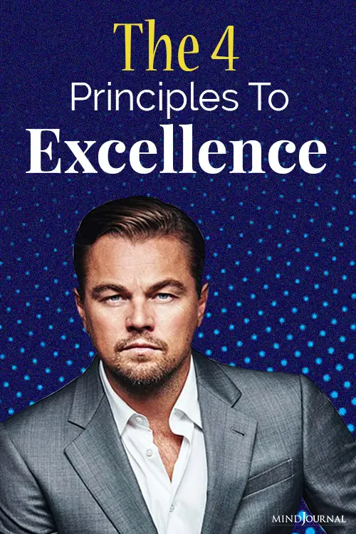 principles to excellence pin