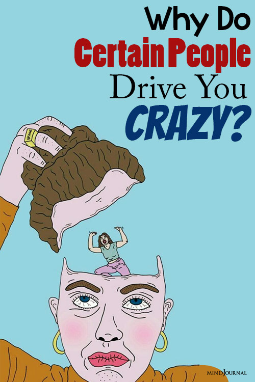 why do certain people drive you crazy behavioral style pin