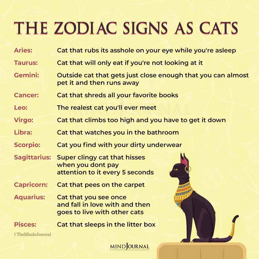 zodiac signs as cats