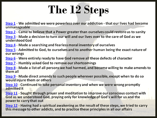 12 Step Program