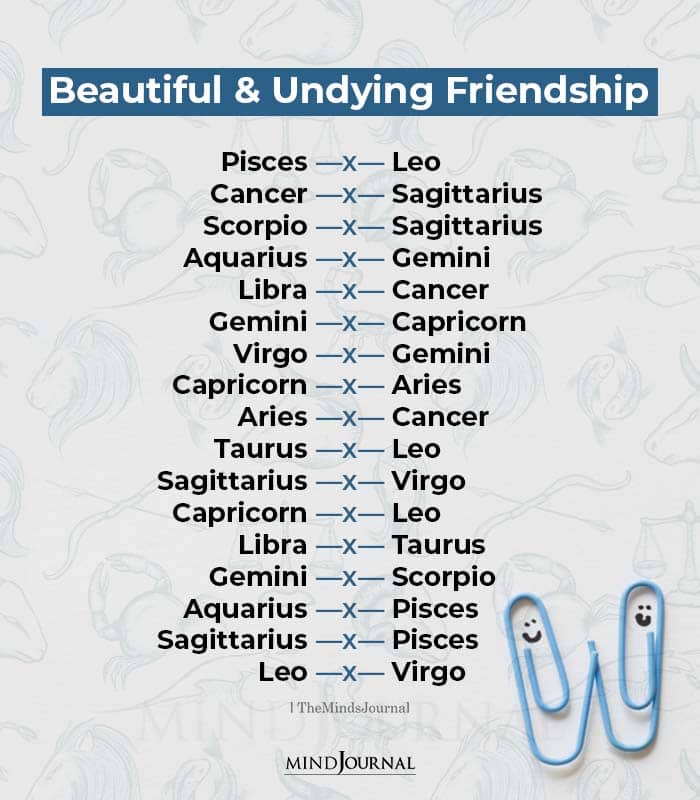 Beautiful And Undying Friendship Between The Zodiac Signs