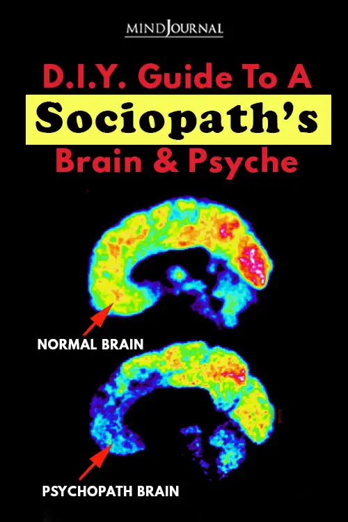 D.I.Y. Guide to a Sociopath’s Brain and Psyche_Pin