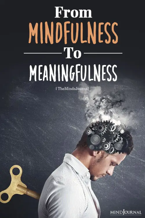 From Mindfulness To Meaningfulness pin