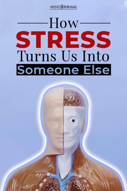 How Stress Turns Us Into Someone Else Your Stressed Self pin