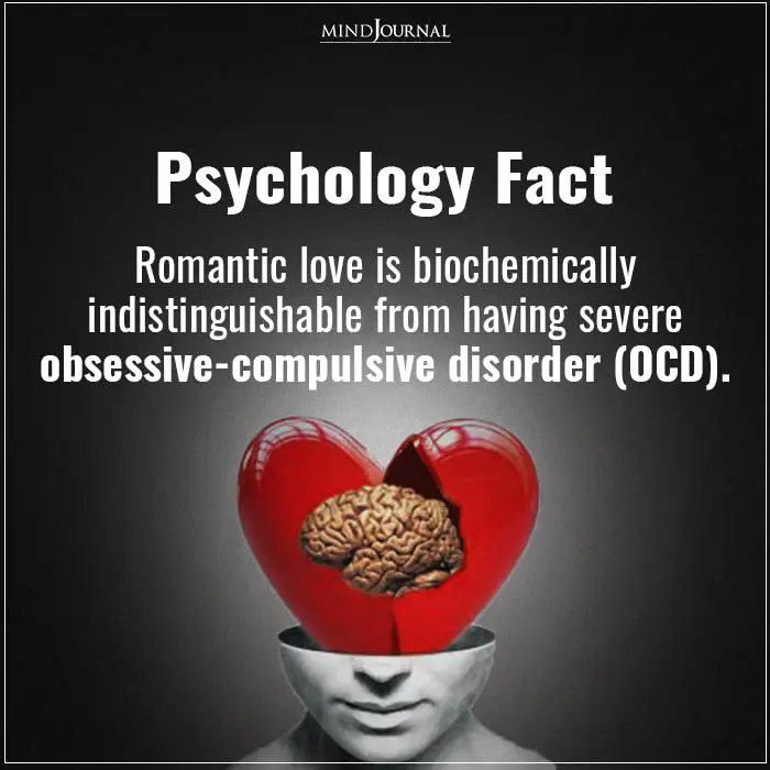 Romantic Love Is Biochemically Indistinguishable