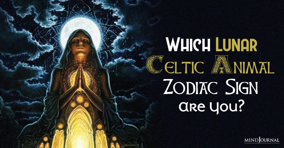 Which Lunar Celtic Animal Zodiac Are You?