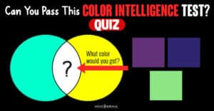 Can You Pass The Color Intelligence Test