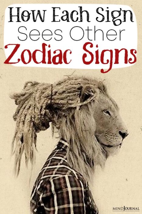 how zodiac signs see other signs