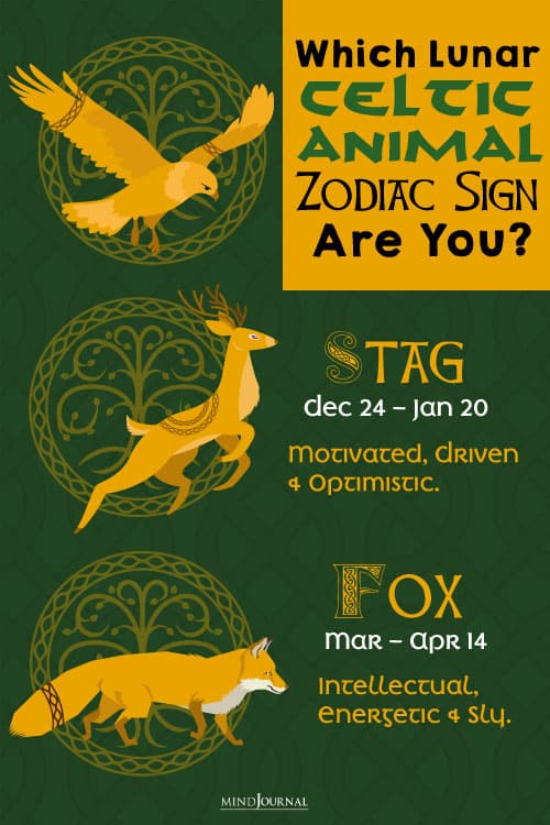 Which Lunar Celtic Animal Zodiac Are You?