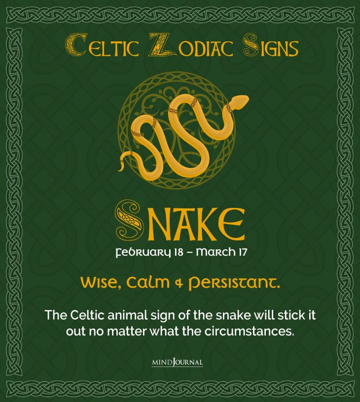celticsnake
