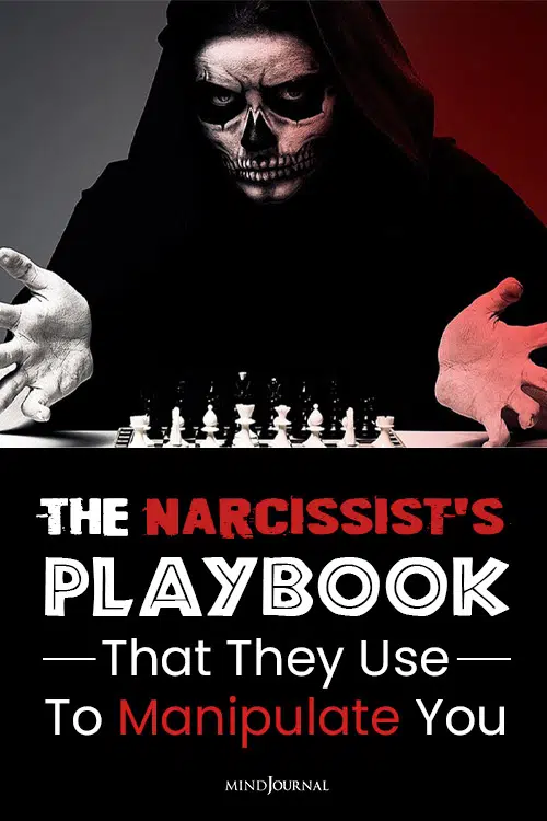The Narcissist's Playbook pin