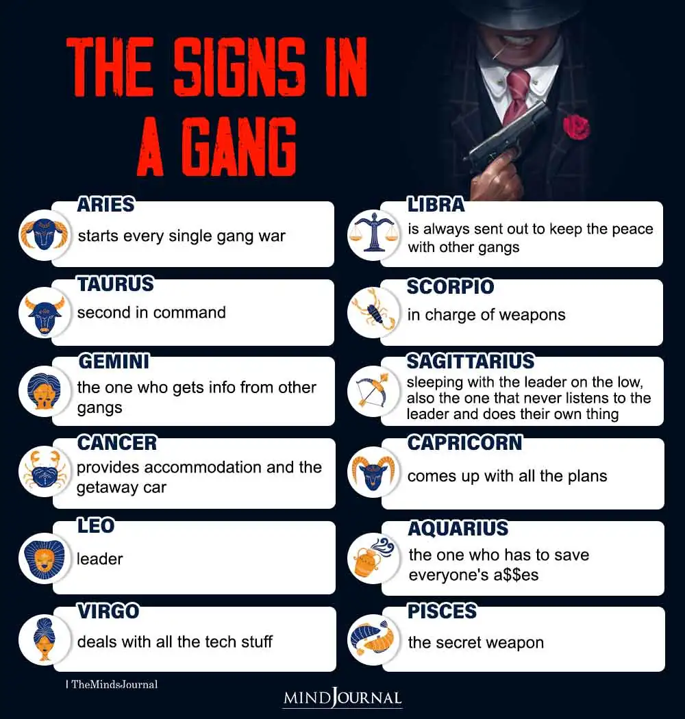 The Zodiac Signs In A Gang