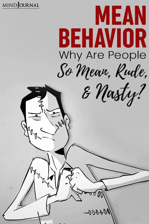 Understanding Mean Behavior nasty rude pin