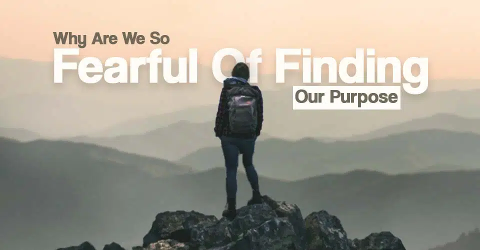 Why Are we so fearful of finding purpose