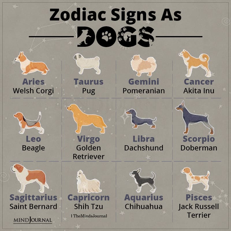 Zodiac Signs As Dog