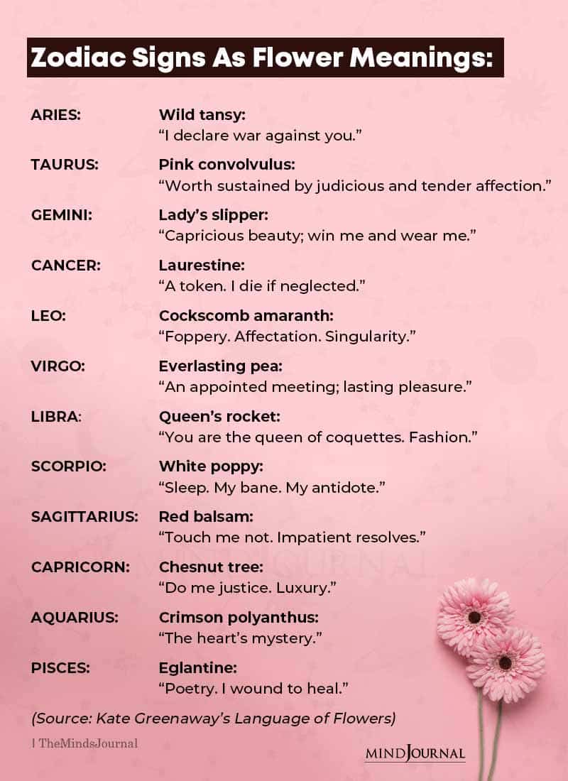 Zodiac Signs as Flower Meanings