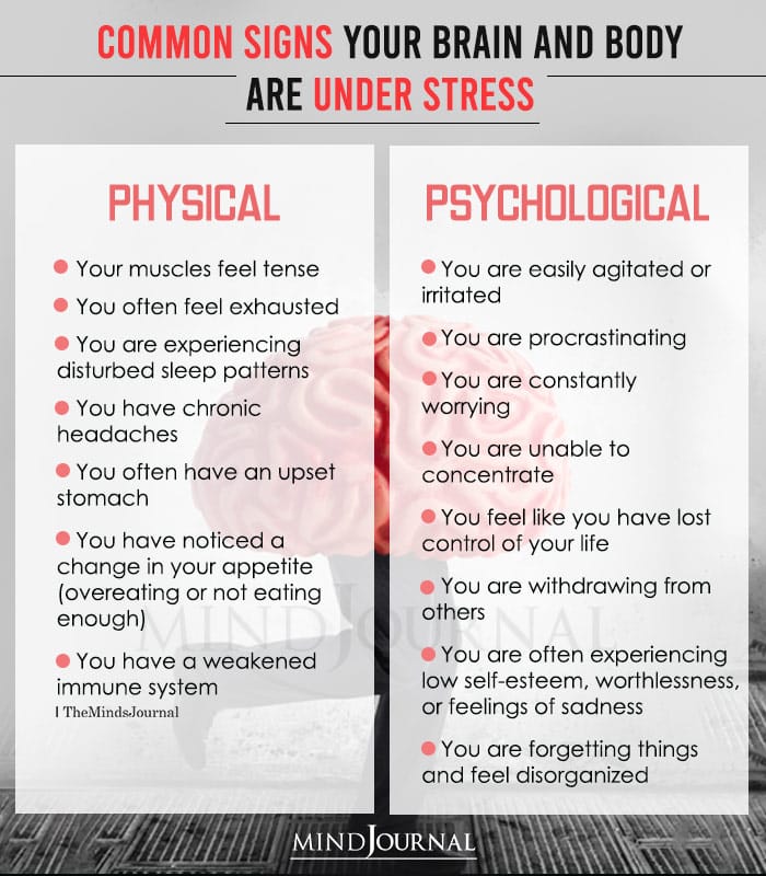 common signs your brain and body are under stress