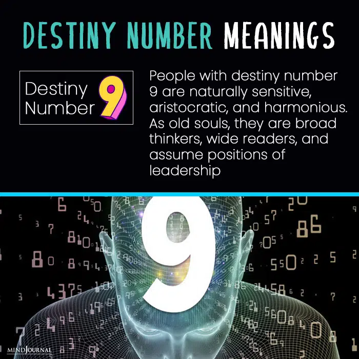 destiny number nine