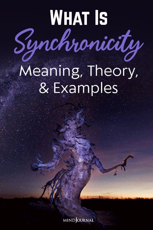 what is synchronicity pin