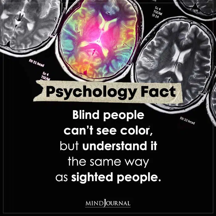 Blind People Cant See Color But Understand