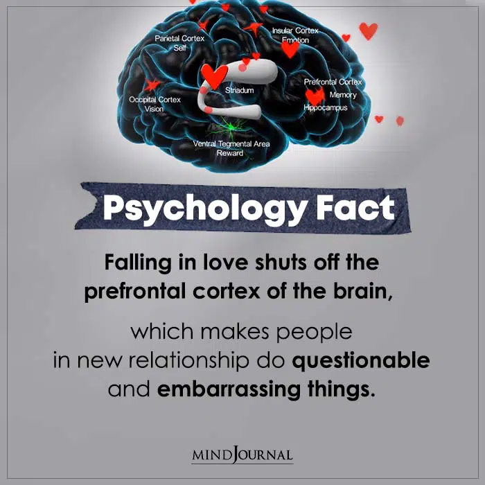 Falling in love shuts off the prefrontal cortex of the brain 