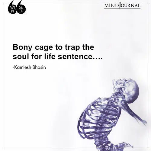 Kamlesh Bhasin Bony cage to trap