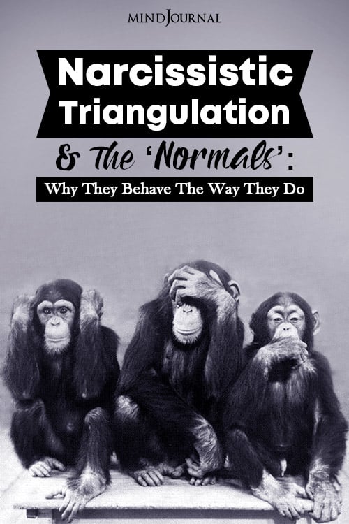 Narcissistic Triangulation and The Normals Pin