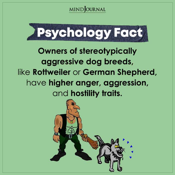 Owners Of Stereotypically Aggressive Dog Breeds