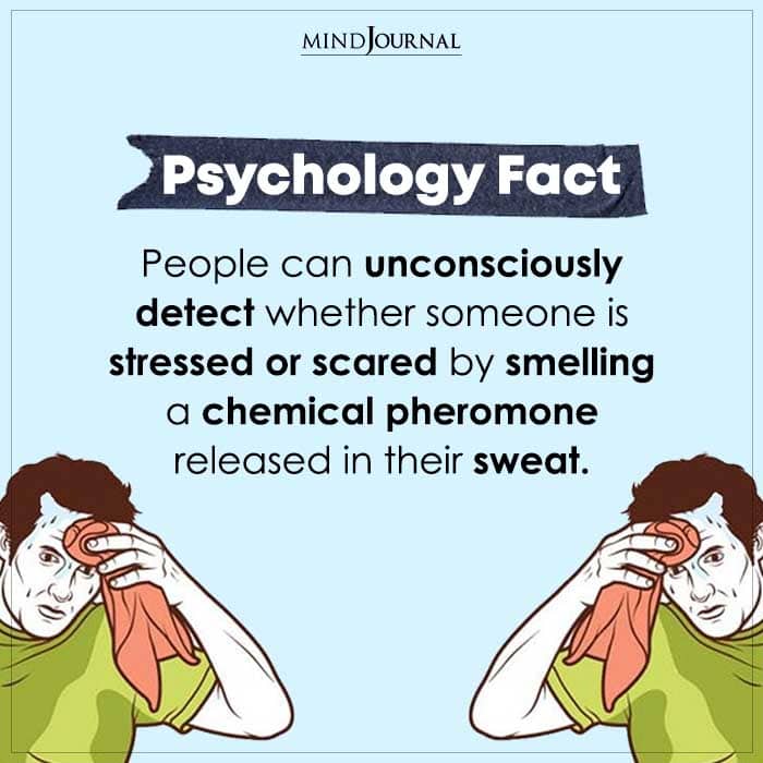 People Can Unconsciously Detect Whether Someone Is Stressed
