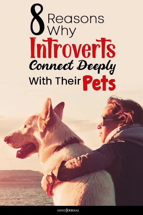 Reasons Why Introverts Connect pets pin