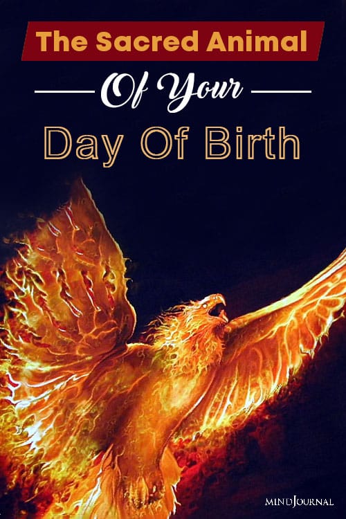 Sacred Animal Of Your Day Of Birth PIN