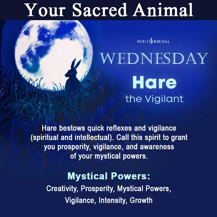 Sacred Animal Of Your Day Of Birth Wednesday