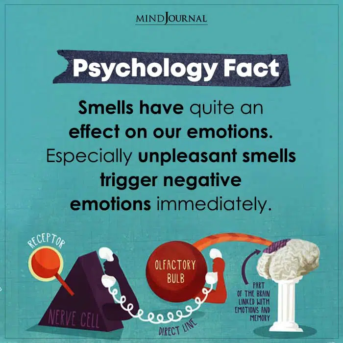 Smells Have Quite An Effect On Our Emotions