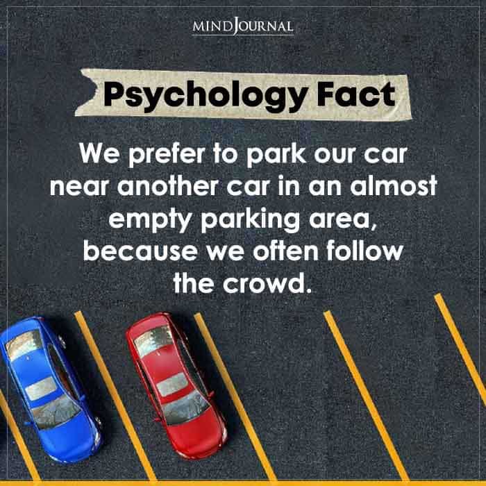 We Prefer To Park Our Car Near Another Car