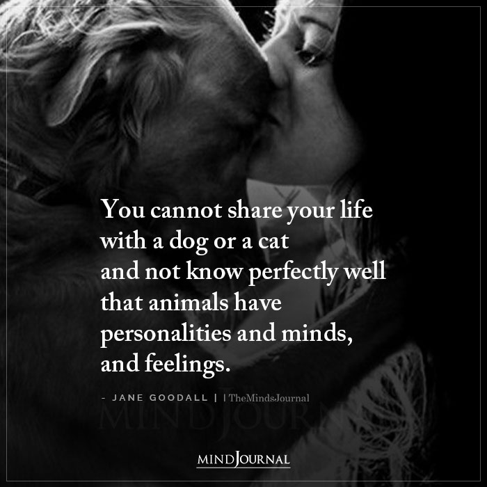 You Cannot Share Your Life With A Dog Or A Cat