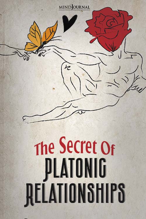 the secret of platonic relationships pin