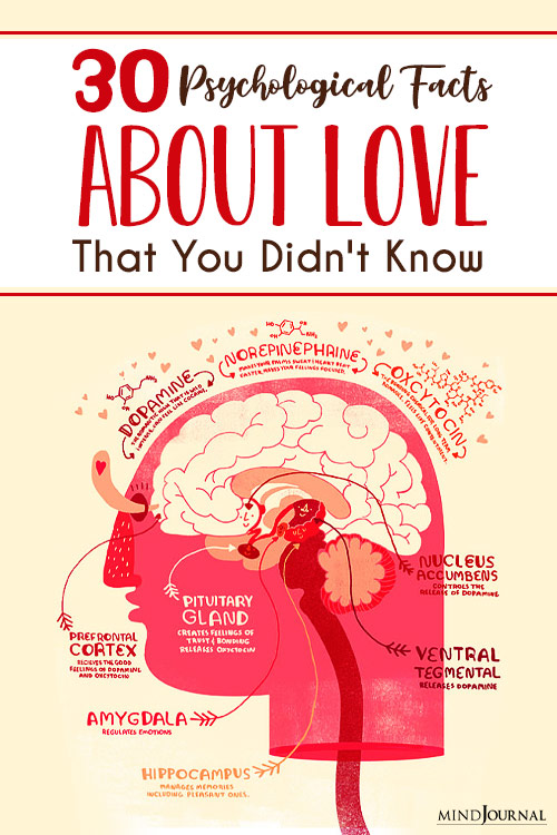 Psychological Facts About Love pin