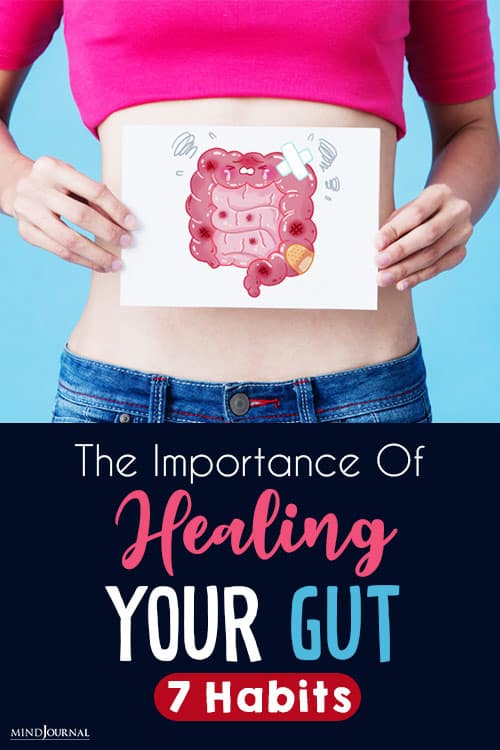 The Importance Of Healing Your Gut habits