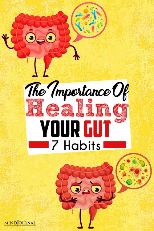 The Importance Of Healing Your Gut pin
