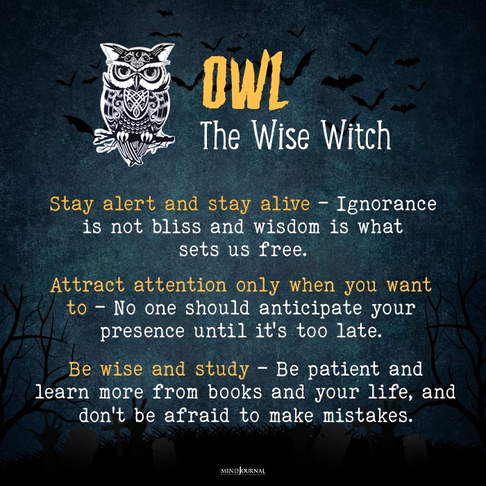 test of north witch owl
