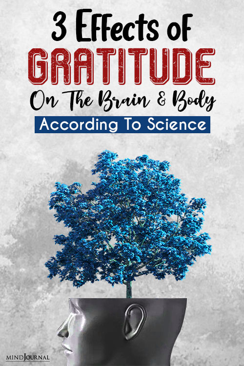 Effects of Gratitude On The Brain and Body pin