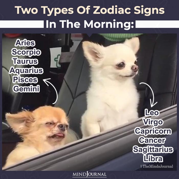 Two Types of Zodiac Signs in The Morning