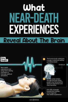 What Near Death Experiences Reveal About The Brain