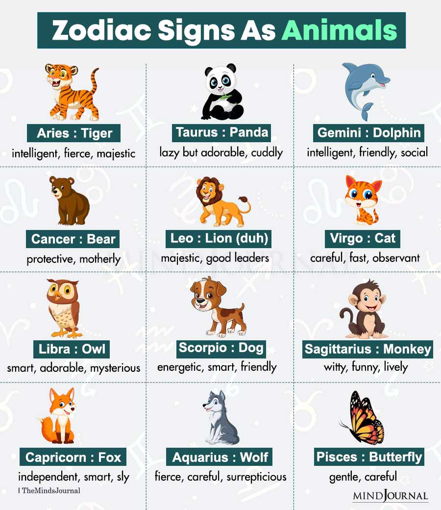 Zodiac Signs As Animals