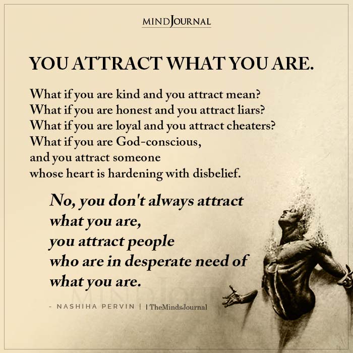 You Attract What You Are What If You Are Kind