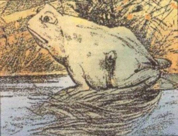 Can You Spot The Horse Hidden In The Frog Picture? Optical Illusion Test