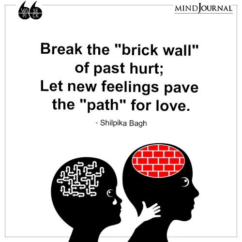 shilpika bagh break the brick wall