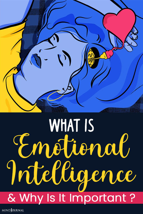 what is emotional intelligence pin