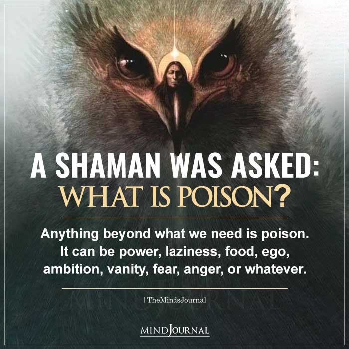A Shaman Was Asked What Is Poison