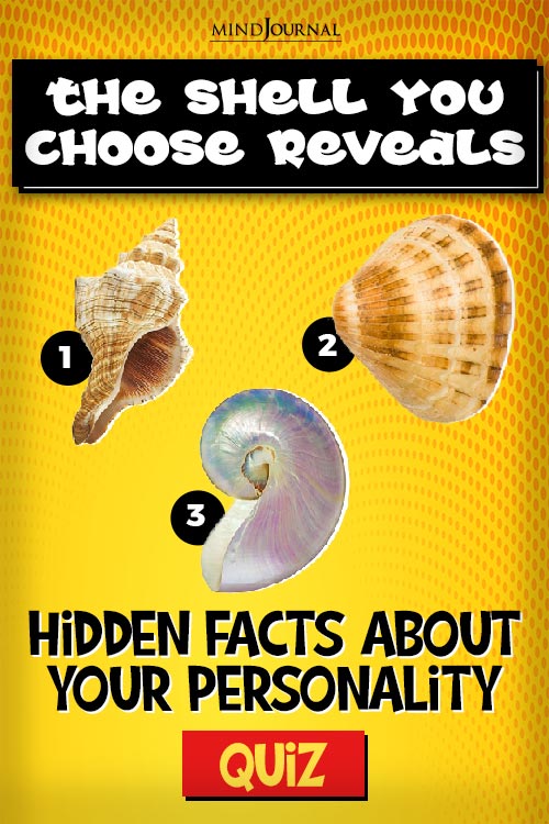 Shell Choose Hidden Facts Personality pin